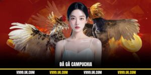 Đá Gà Campuchia V999: Trải Nghiệm Cá Cược Chuẩn Quốc Tế