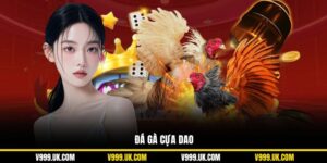 Đá Gà Cựa Dao: Cá Cược Lôi Cuốn Trong Từng Trận Đấu Tại V999