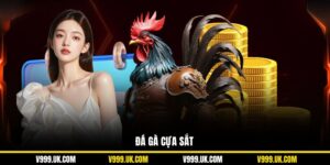 Đá Gà Cựa Sắt V999: Thiên Đường Chọi Kê Kiếm Thưởng Lớn