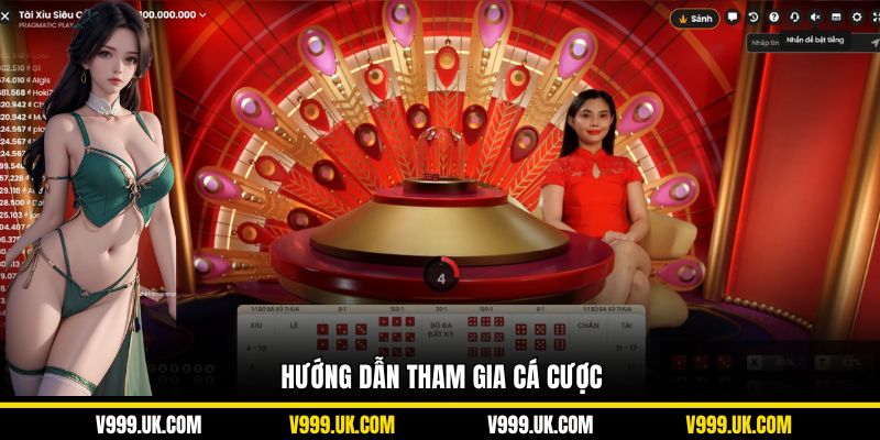 Hướng dẫn tham gia cá cược