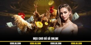 Mẹo Chơi Đá Gà Online Giúp Bạn Thắng Lớn Từ Cao Thủ V999