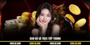 Xem Đá Gà Trực Tiếp Thomo Ấn Tượng, Sắc Nét Tại Nhà Cái V999